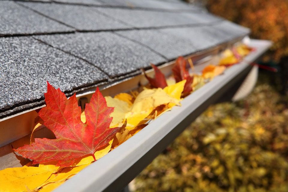 Blocked gutters