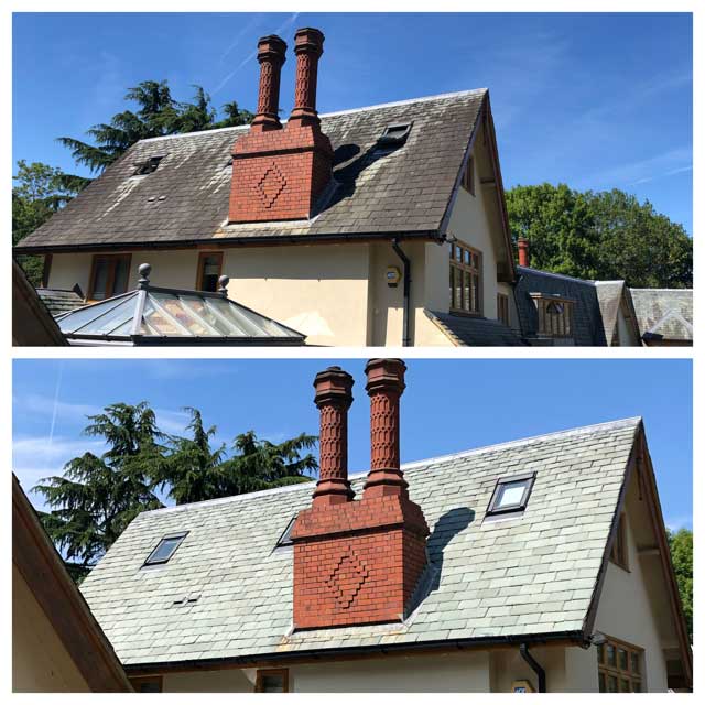 Roof cleaning